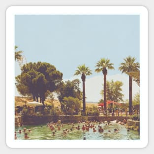 Beautiful Palm Trees Photography design with blue sky and swimming pool holiday vibes Sticker